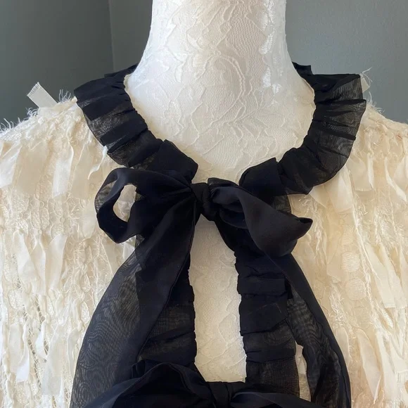 NWT Zara Ivory Ruffle-Trim Sheer Blouse - Picture 7 of 11